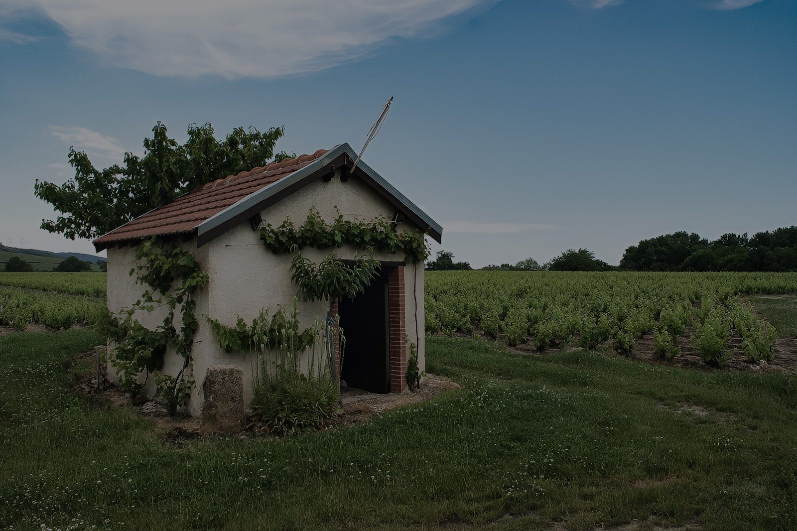 Reserve de La Cadole Lespinasse Domaine du Maupas